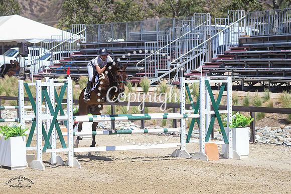 Lil_Dipper_(1387)_20210604_5799