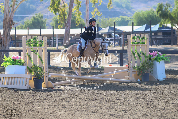 Loafers_Lodge_Whinny_(1800)_20210605_6192