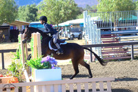 Pretty_In_Pink_(1378)_20210605_6200