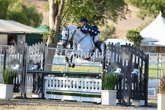 Williams_(204)_20230912_1452