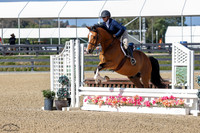 Fred_The_Horse_(748)_20250514_0006