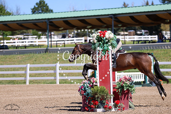 Sws_High_Light_(595)_20230916_4437