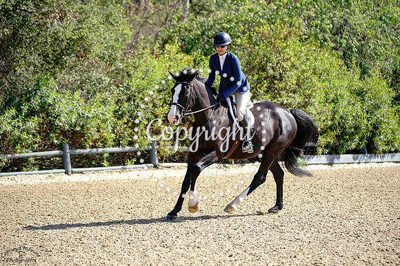 Shadowfax_(256)_20250612_1548