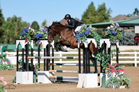 Debby_T_(751)_20230917_5615