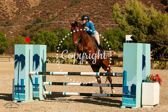 Benco_(1194)_20241010_5472