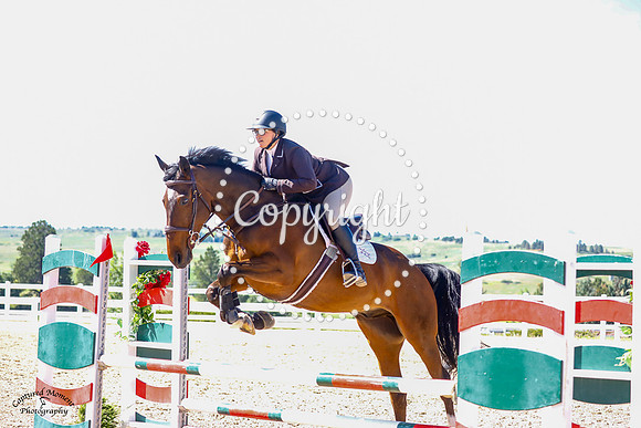 Lamaase_Vant_Bosveld_(263)_20210630_3339