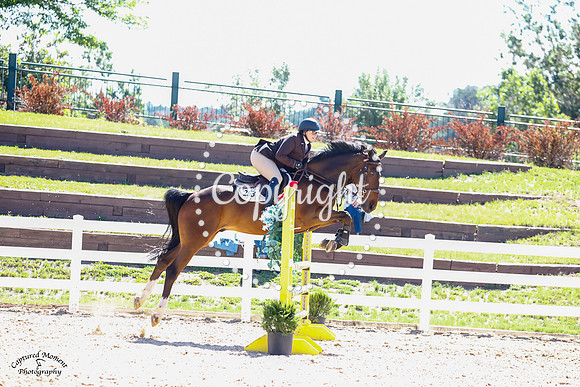 Lamaase_Vant_Bosveld_(263)_20210630_3338