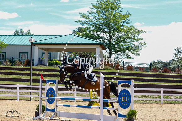 Clou_(233)_20210630_3693
