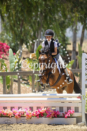 Hidden_Springs_Lucky_Star_(772)_20250530_6118