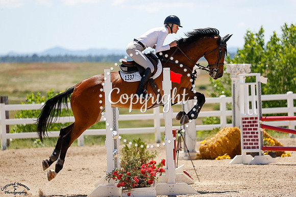 Catibo_M_(1337)_20250702_2761