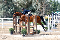 Abrakadabra_(637)_20210707_2080