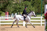 Tiger_Lily_(612)_20210709_0286