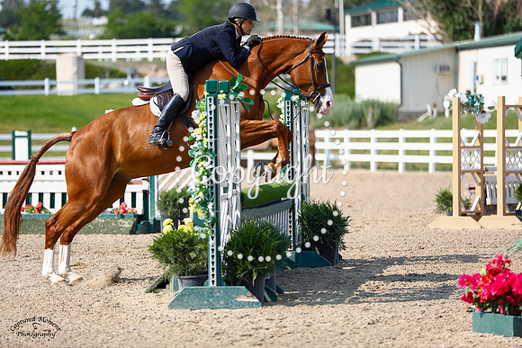 Southern_Boy_(359)_20210710_2074