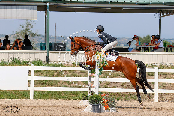 Ttt_Balladeer_Moondance_(412)_20210711_2600