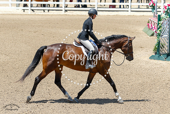 Unknown_20210709_2970