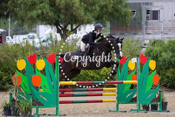 Lirisco_(999)_20250620_5961