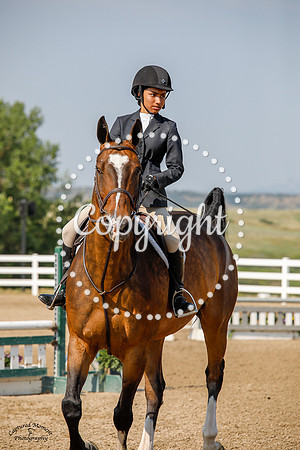 Ameganson_K_(756)_20210716_7409