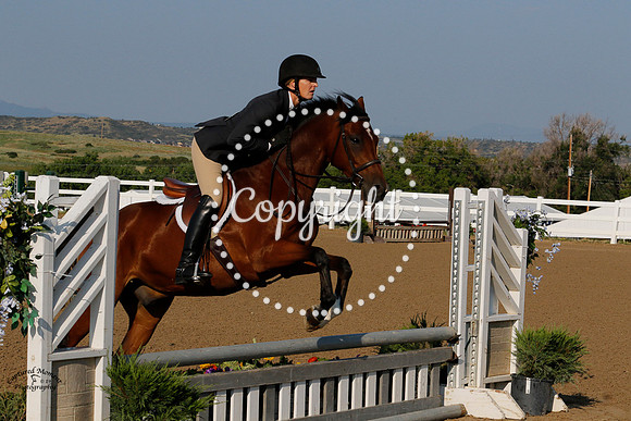 Barnes_(428)_20210715_1547