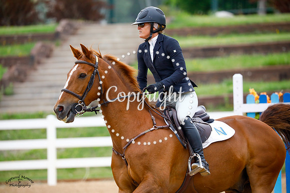 Loughnatousa_(604)_20210714_4675