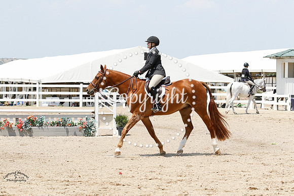 Mr__Banks_(336)_20210715_2716