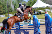 Le_Verdi_(1493)_20250621_5752