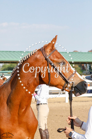 Cabrina_V_(196)_20210715_6158