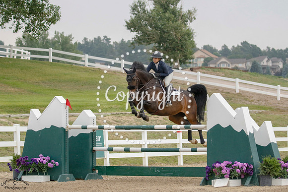 Ladybird_(164)_20210714_1347