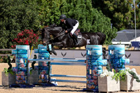 BOUBOU_DE_LA_ROUQUE_(295)_20231004_0197