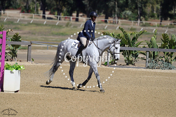 HOMER_VDL_(224)_20231004_5940