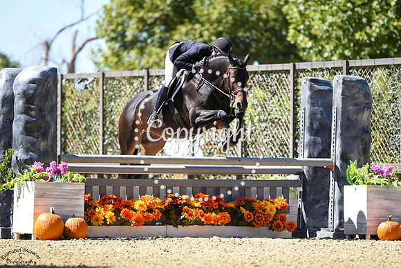 LADD_HILL_(472)_20231004_0985