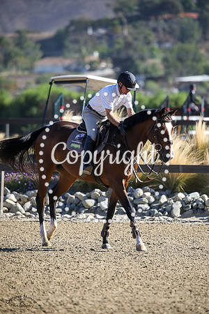 NOLO_CONTENDERE_(158)_20231007_1955