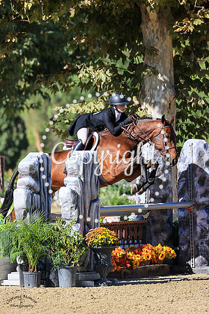 BALKO_D_ELLE_(297)_20231006_2133