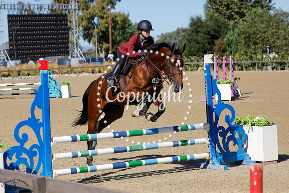 CORONETS_POT_OF_GOLD_(438)_20231004_0080