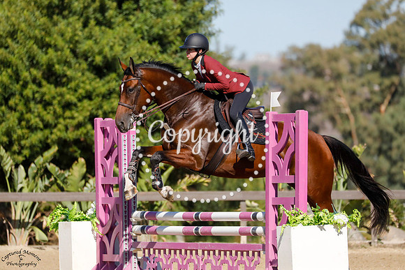 CORONETS_POT_OF_GOLD_(438)_20231004_0095