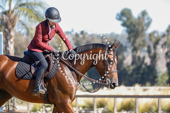 CORONETS_POT_OF_GOLD_(438)_20231004_0104