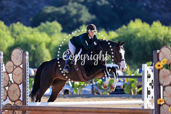 TWELFTH_MAN_(352)_20231004_0122