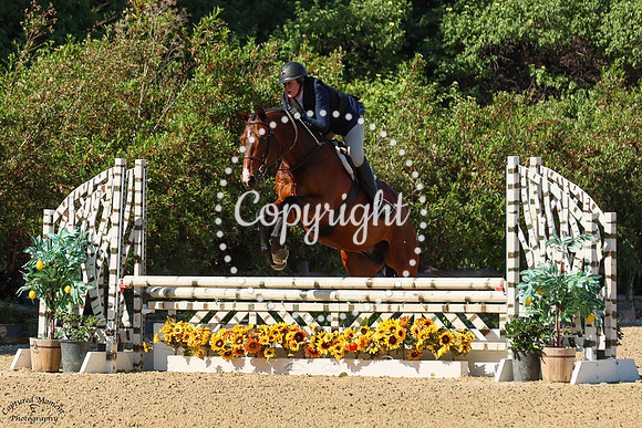 SPOKEN_FOR_(109)_20250509_8571