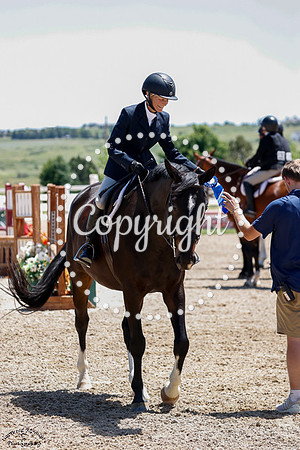 Knightfall_(1478)_20250622_0936