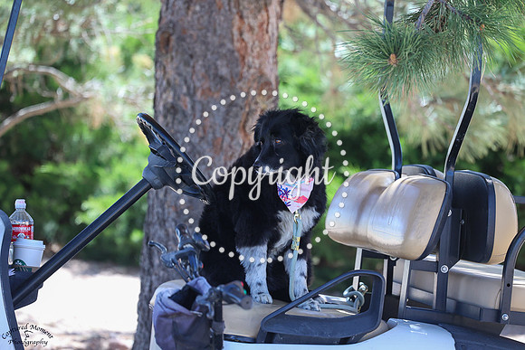 Sweeter_Than_Fiction_(378)_20250516_1265