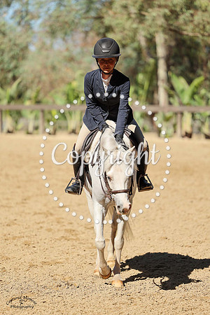 Gf_Limited_Edition_(589)_20241010_4860