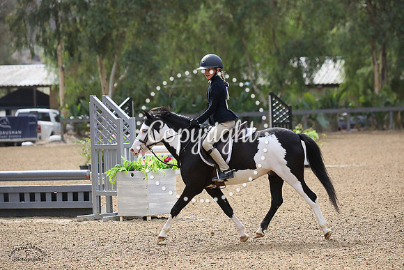 BLUEGRASS_SENSATION_(127)_20231013_1896