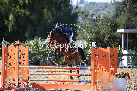 COGNAC_(999)_20231013_1172