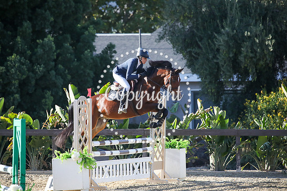 COGNAC_(999)_20231013_1174