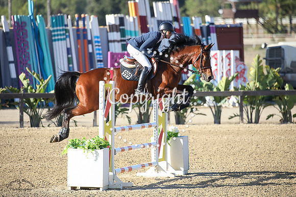 COGNAC_(999)_20231013_1176