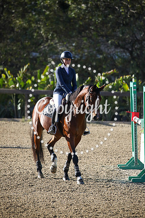 COGNAC_(999)_20231013_1178