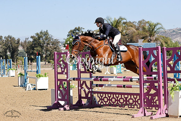 CRYSTALL_II_Z_(834)_20231014_2710