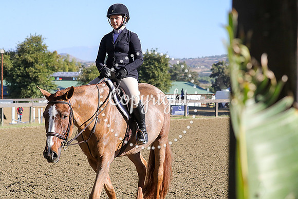 FRED_ASTAIRE_(897)_20231014_0372