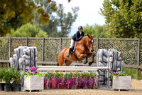 GO_(291)_20231013_5701