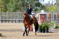 GO_(291)_20231013_5713