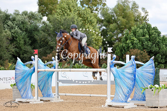 SUPER_7_(593)_20231011_1695